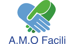 Logo A.M.O Facili